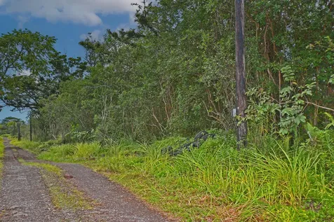 Kehaulani Street Keaau HI 96749