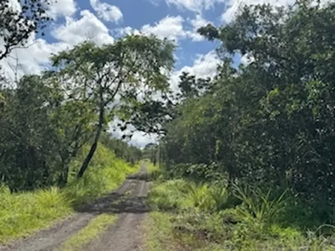 Kehaulani Street Keaau HI 96749