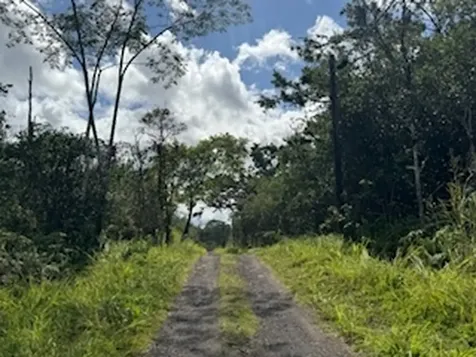 Kehaulani Street Keaau HI 96749