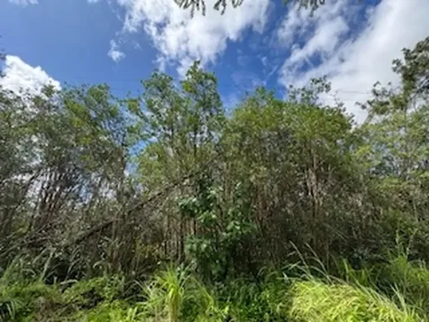 Kehaulani Street Keaau HI 96749