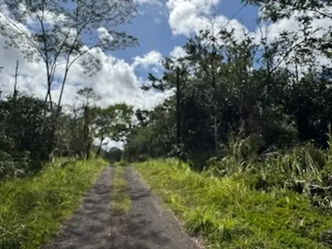 Kehaulani Street Keaau HI 96749