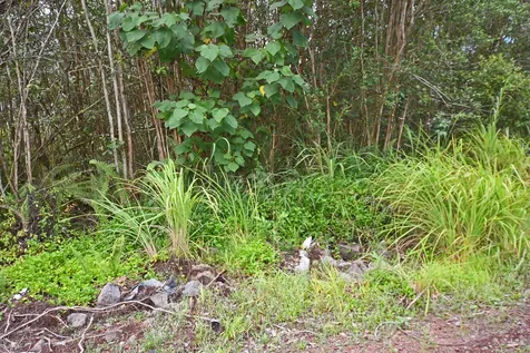 Kehaulani Street Keaau HI 96749