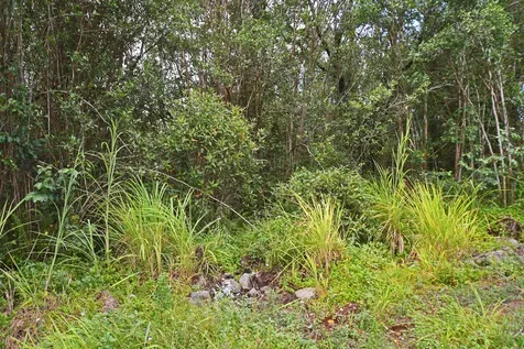 Kehaulani Street Keaau HI 96749