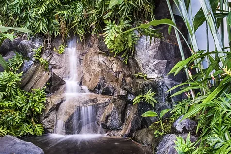 75-6040 Alii Drive Kailua-kona HI 96740