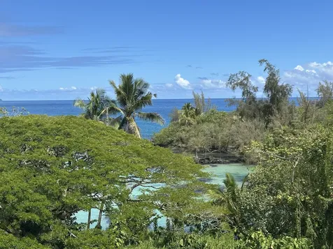 1875 Mauna Loa Shores Hilo HI 96720