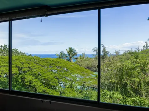 1875 Mauna Loa Shores Hilo HI 96720