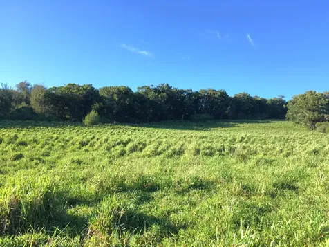 54-640 Hall Road Kapaau HI 96755