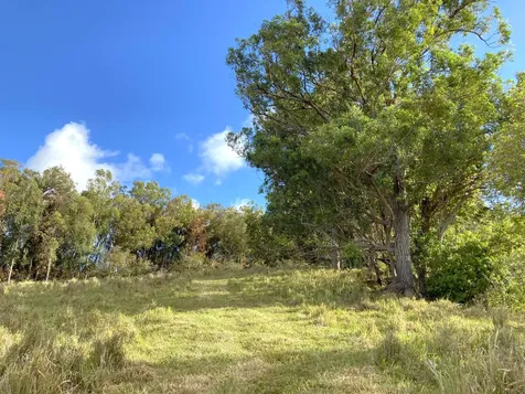 54-640 Hall Road Kapaau HI 96755