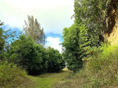 54-640 Hall Road Kapaau HI 96755