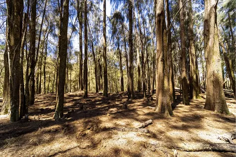 54-640 Hall Road Kapaau HI 96755