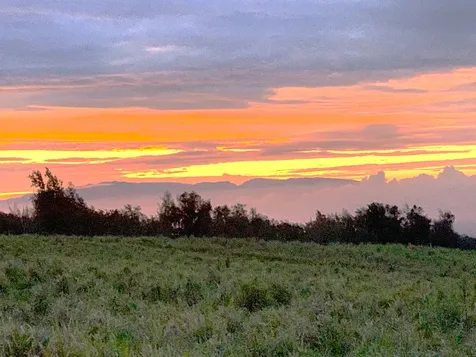 54-640 Hall Road Kapaau HI 96755