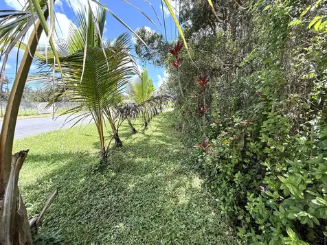 16-233 Orchid Land Drive Keaau HI 96760