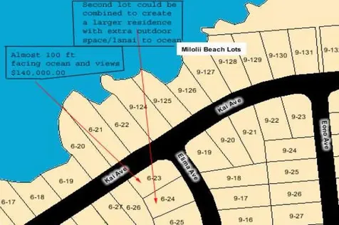 Captain Cook HI 96704