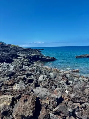 Captain Cook HI 96704