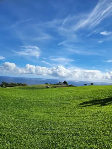 36-3358 Kuwili Lani Place Laupahoehoe HI 96764