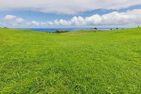 36-3358 Kuwili Lani Place Laupahoehoe HI 96764