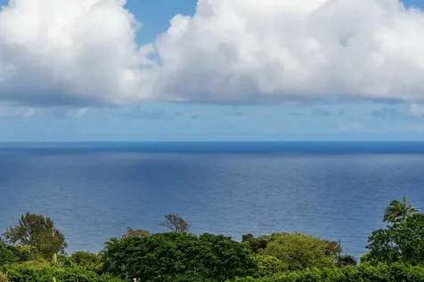 36-3358 Kuwili Lani Place Laupahoehoe HI 96764