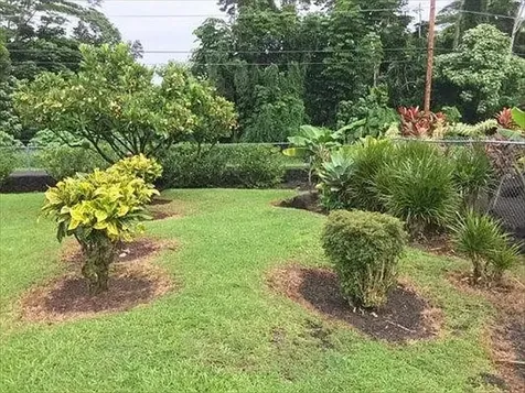 15-2754 Malolo Street Pahoa HI 96778