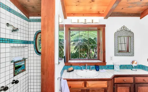 19-3976 John A. Lee Road Volcano HI 96785