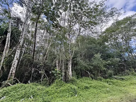 Kiele Street Keaau HI 96749