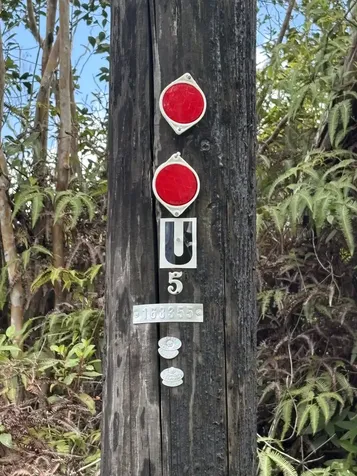 Kiele Street Keaau HI 96749