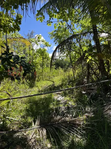 15-1846 1st Avenue Keaau HI 96749