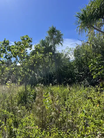 15-1846 1st Avenue Keaau HI 96749