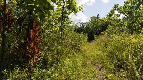 15-1846 1st Avenue Keaau HI 96749