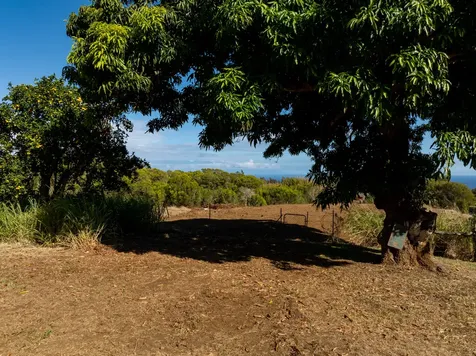 55-680 Hawi Road Hawi HI 96719