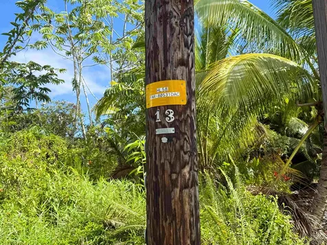 2ND Avenue Keaau HI 96749