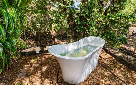 12-84 Likoliko Loop Pahoa HI 96778