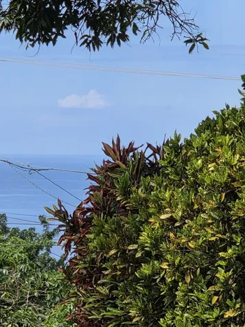 83-5782 Napoopoo Road Captain Cook HI 96704