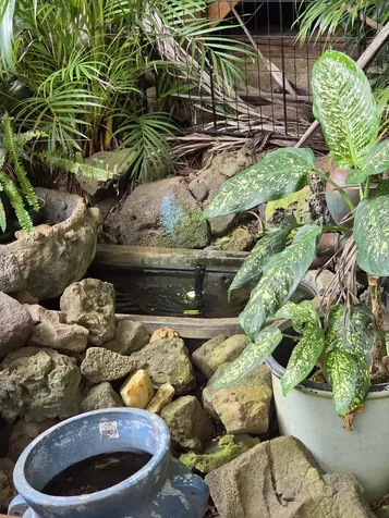 83-5782 Napoopoo Road Captain Cook HI 96704