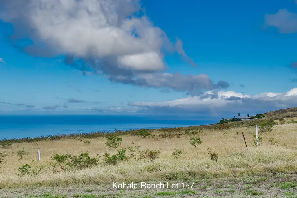 59-1009 Kohala Ranch Road Kamuela HI 96743