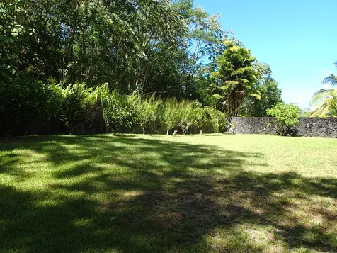 15-2790 Awa Street Pahoa HI 96778