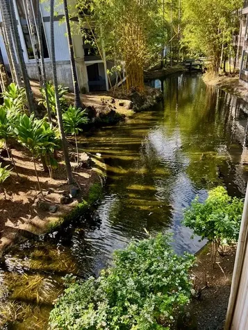 400 Hualani Street Hilo HI 96720