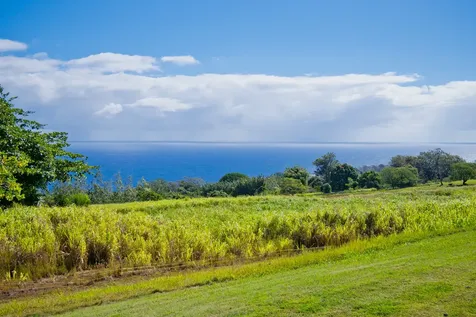 35-219 Kihalani Homestead Road Laupahoehoe HI 96764