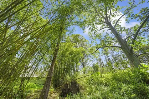 16-1857 Hopue Road Mountain View HI 96760