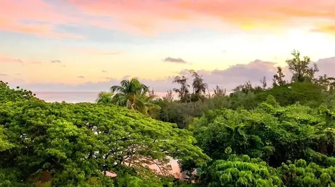 1875 Kalanianaole Street Hilo HI 96720