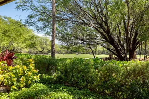 68-1118 Kaniku Drive Kamuela HI 96743