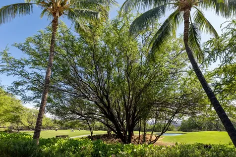 68-1118 Kaniku Drive Kamuela HI 96743