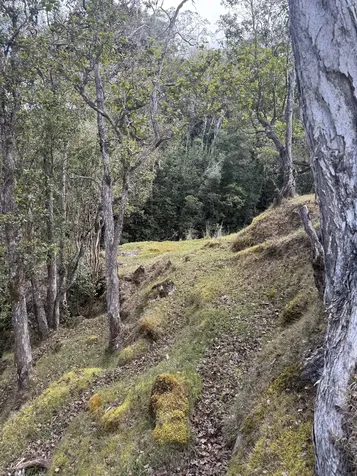 44-2135 Pohakealani Road Honokaa HI 96727