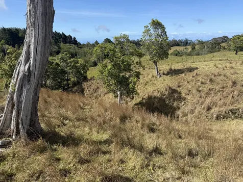 44-2135 Pohakealani Road Honokaa HI 96727