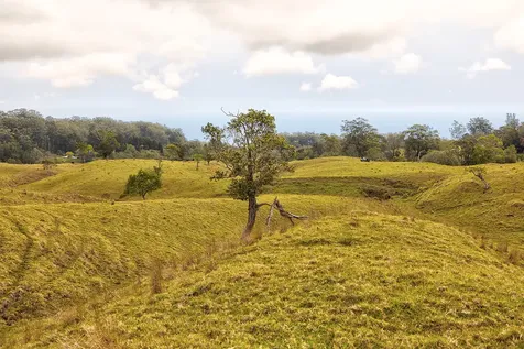 44-2135 Pohakealani Road Honokaa HI 96727