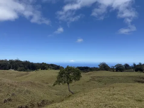 44-2135 Pohakealani Road Honokaa HI 96727