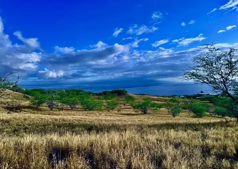 59-619 Hoopai Trail Kamuela HI 96743