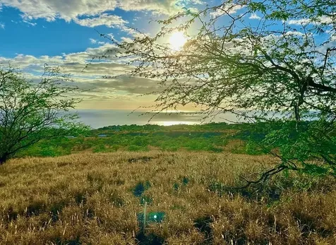 59-619 Hoopai Trail Kamuela HI 96743