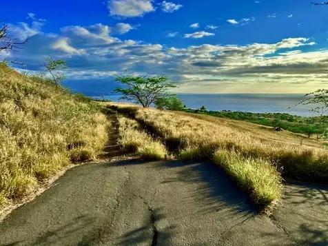 59-619 Hoopai Trail Kamuela HI 96743