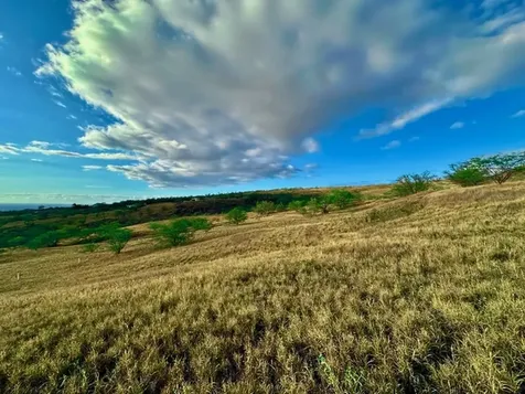 59-619 Hoopai Trail Kamuela HI 96743