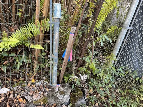 16-1271 Moho Road Mountain View HI 96760